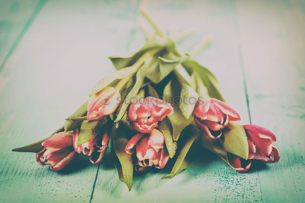 Fresh Spring Tulips On Wooden Table