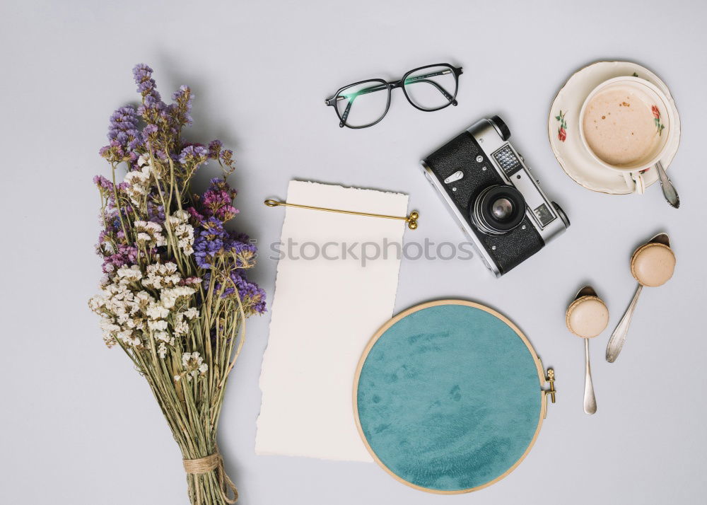 Similar – Eyeglasses and green palm leaves