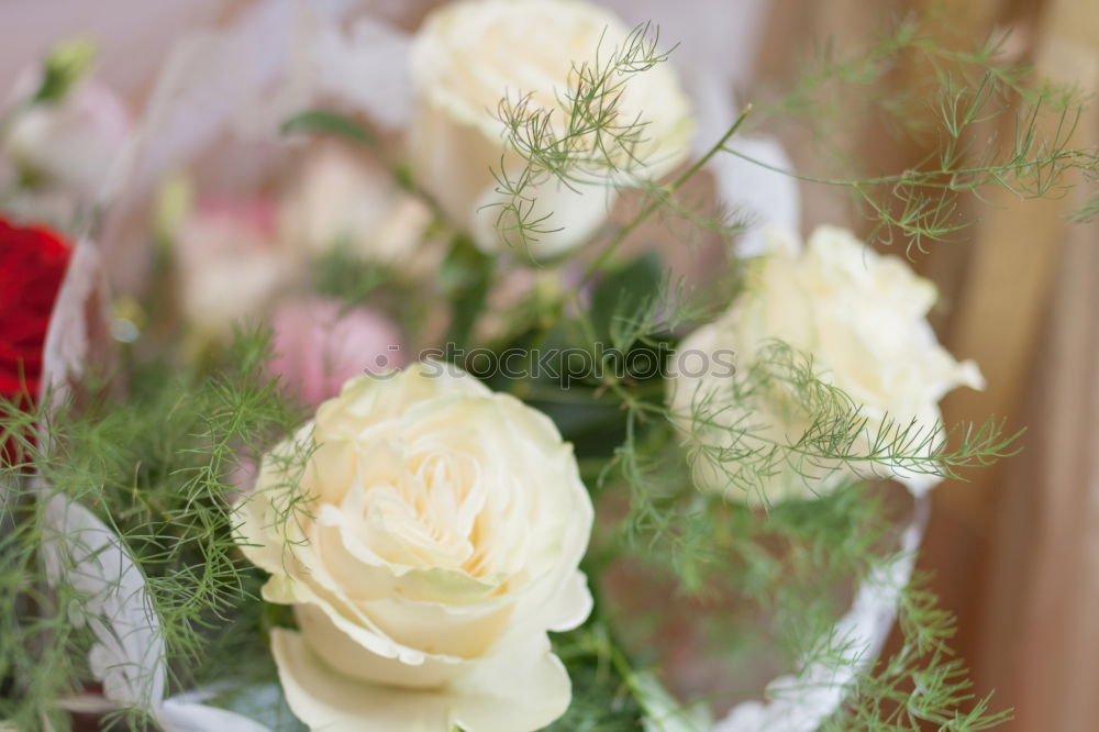 Similar – Image, Stock Photo flowers Lifestyle Elegant