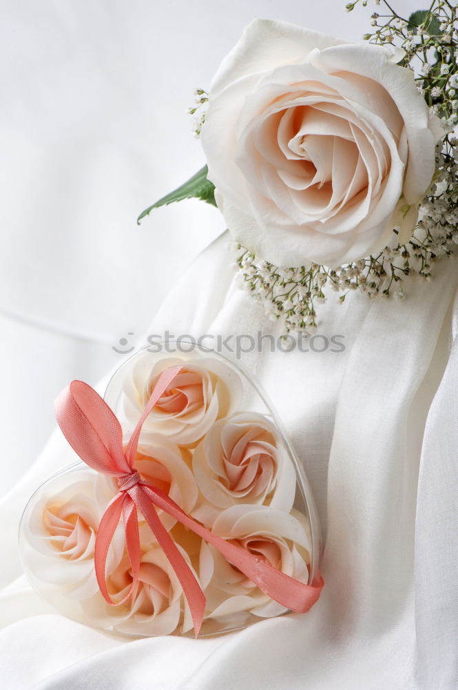 Similar – Pink and cream roses