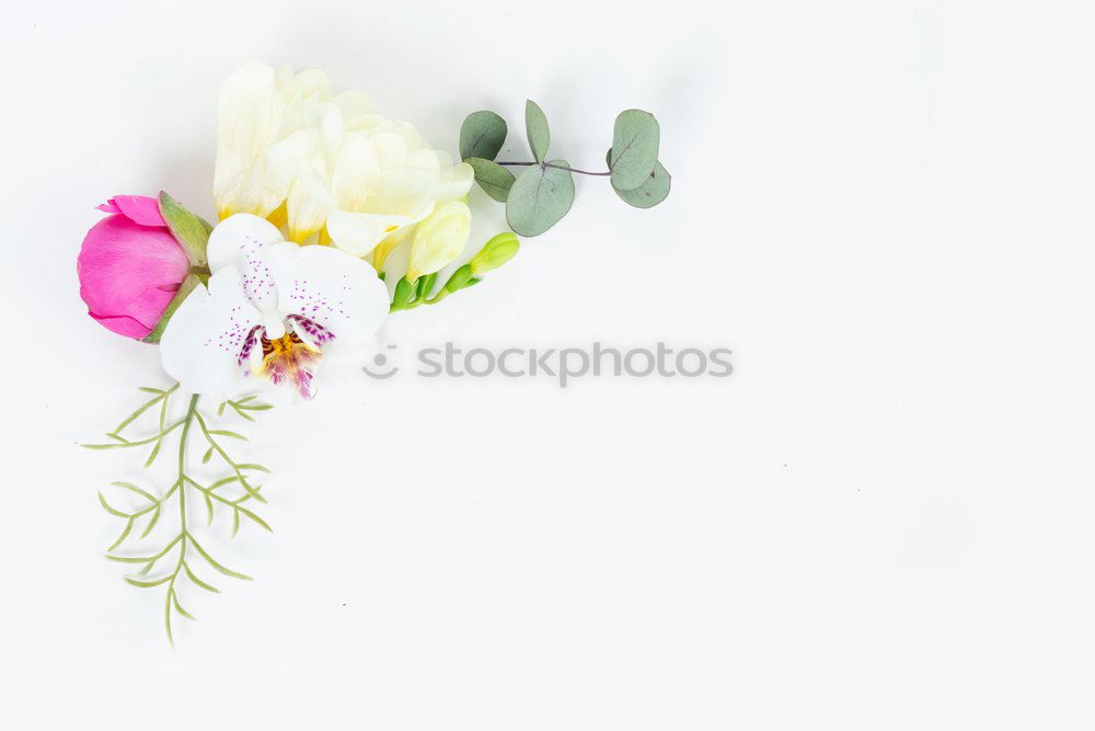 Similar – Vase with tulips on white table