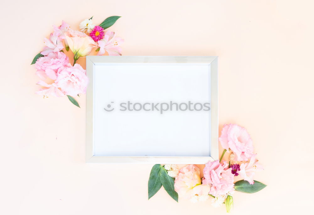 Similar – White blank card with pastel flowers and ribbon