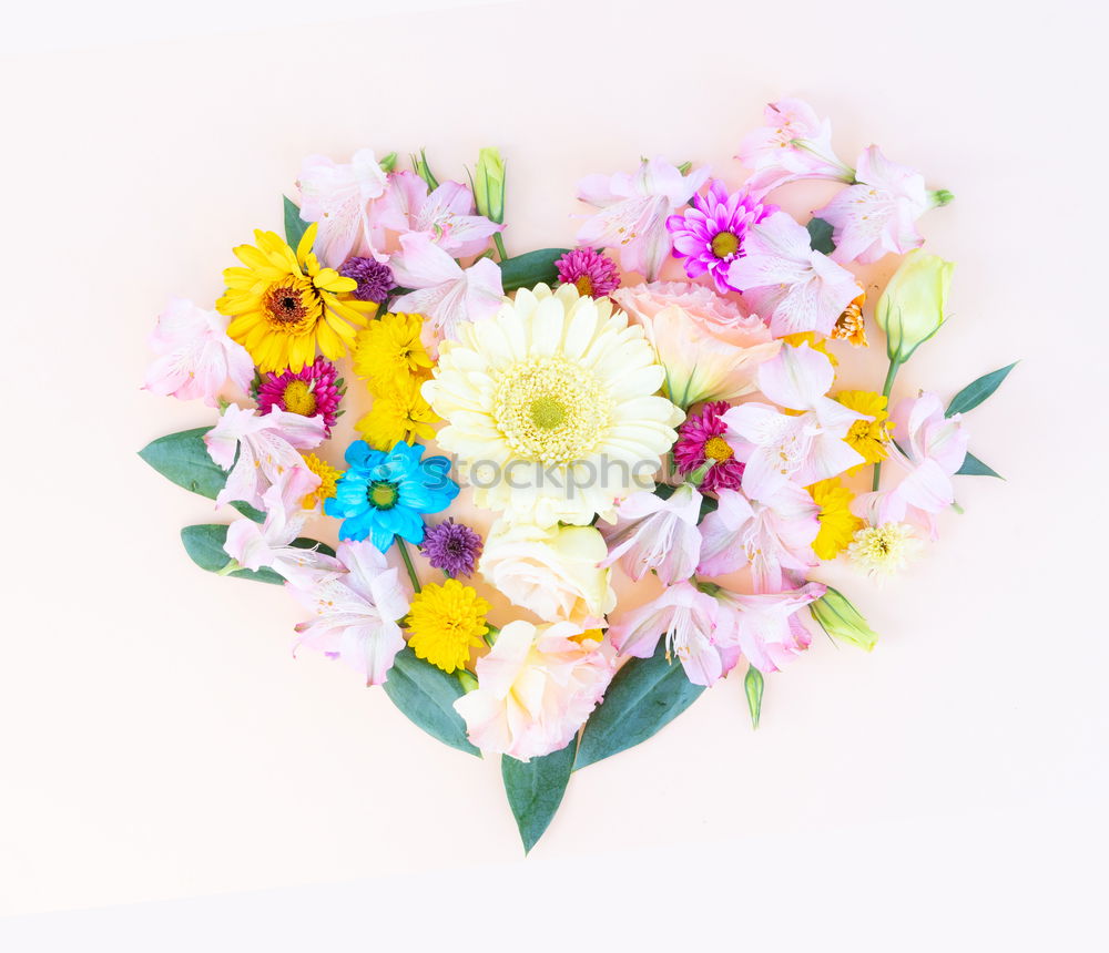 Similar – Bouquet with card Elegant