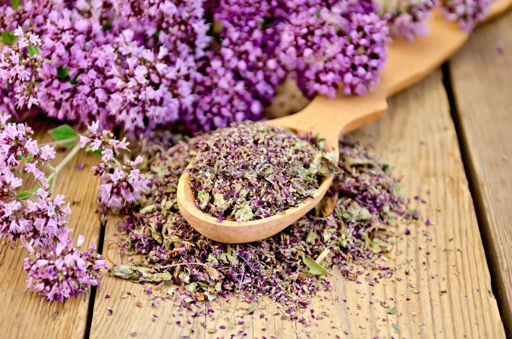 Similar – Aromatherapy, wellness and spa with lilac flowers