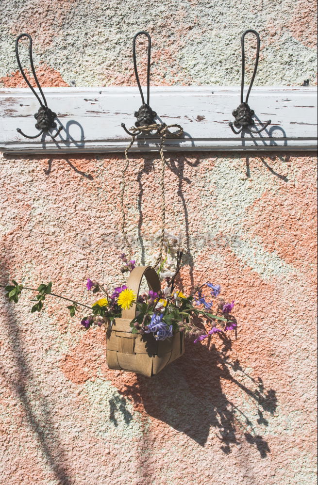 Flowers in the basket on hanger on a wall