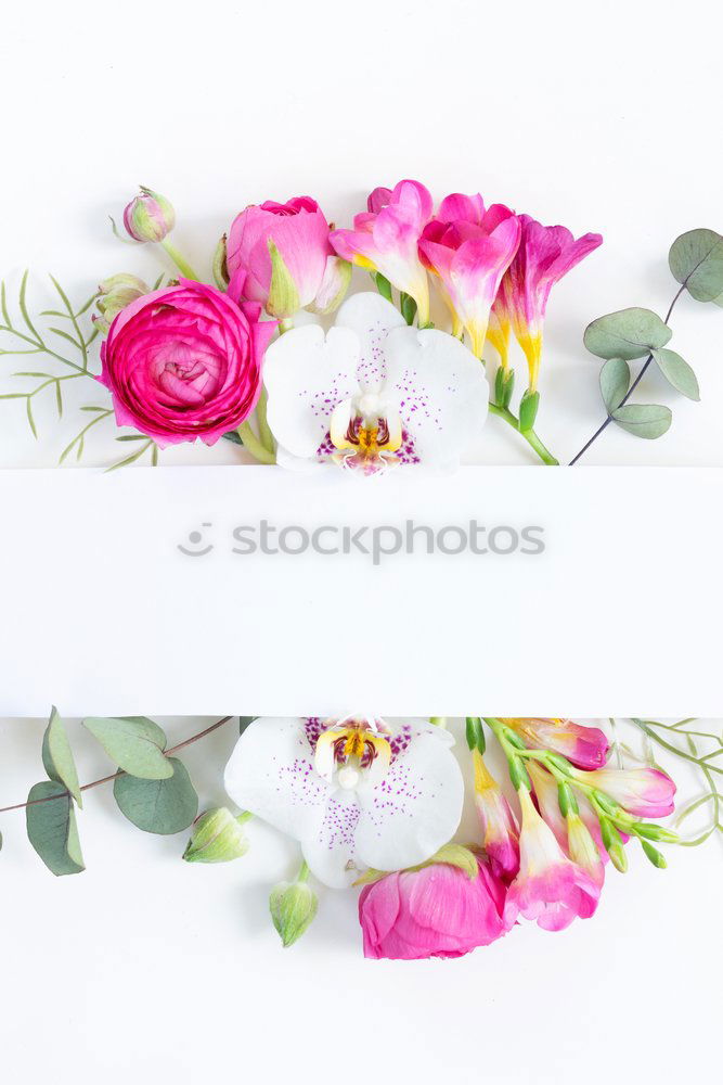 Similar – Image, Stock Photo Colourful tulips in paste colours