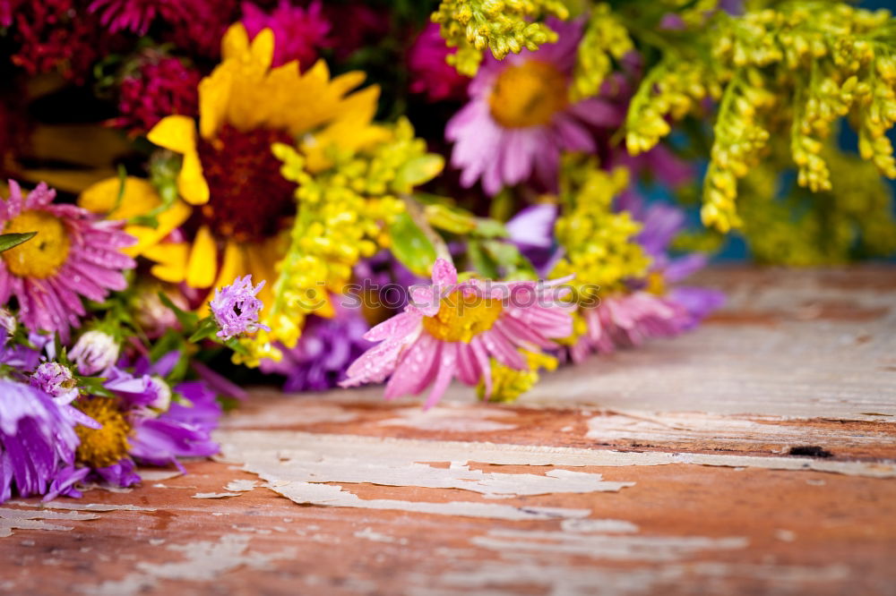 Similar – flower wreath Nature Plant