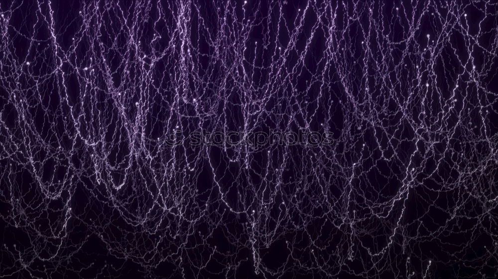 Similar – Image, Stock Photo ghost trees Nature Plant