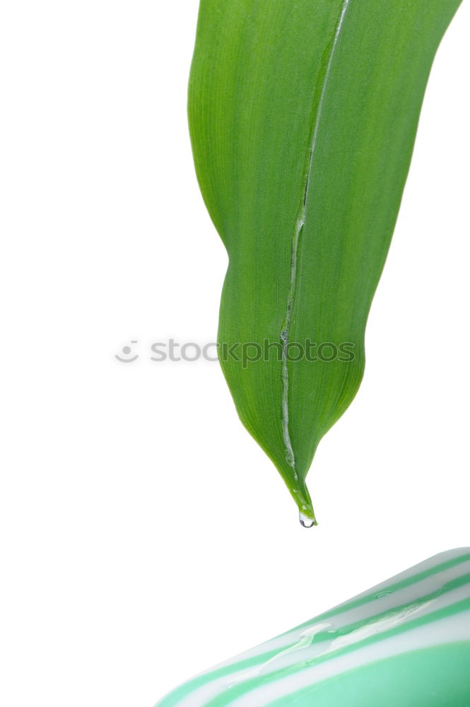 Similar – Image, Stock Photo let it rain Watering can