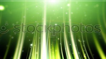 Similar – Image, Stock Photo at night wet in the grass