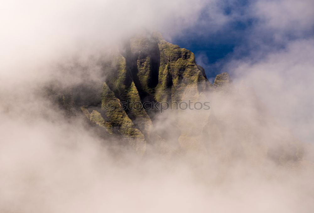 Similar – Image, Stock Photo A little hope