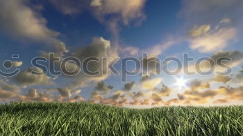 Similar – light band Landscape Sky