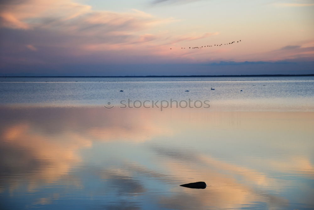 Similar – Image, Stock Photo mudflat side Well-being