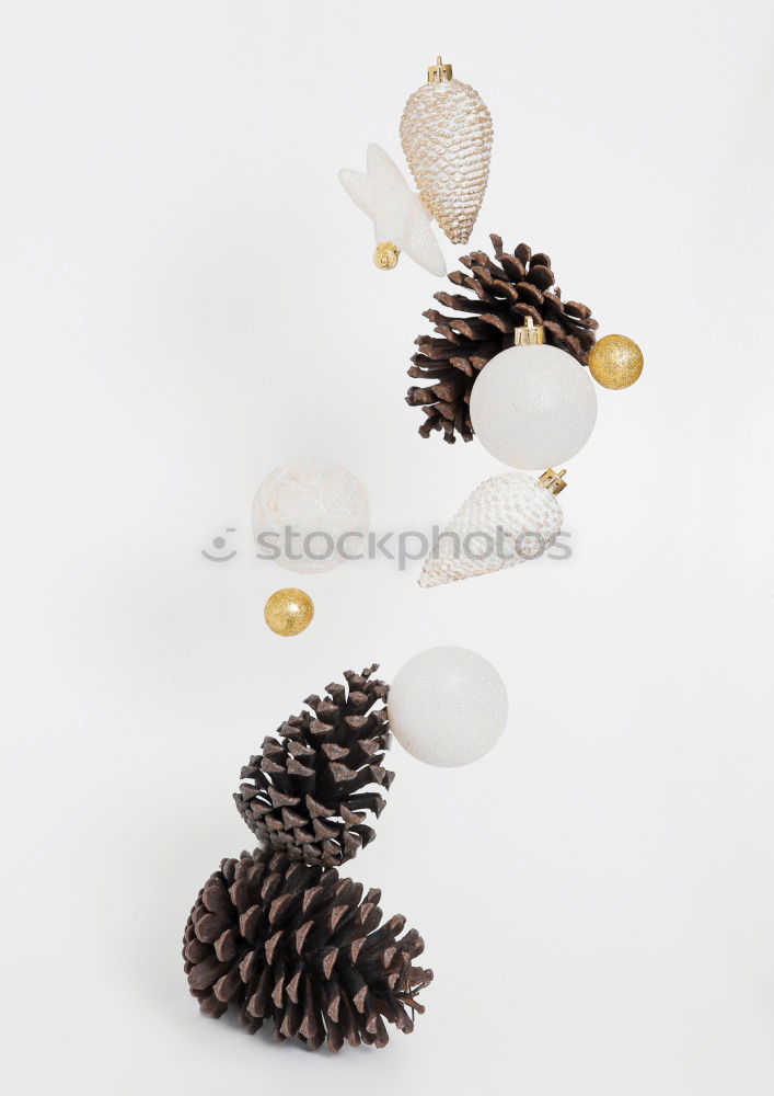 Similar – Image, Stock Photo fir cones Wood Sign