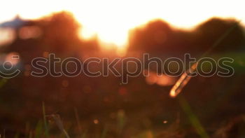 Similar – Image, Stock Photo spring Environment Nature