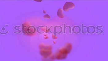 Image, Stock Photo between the two sides