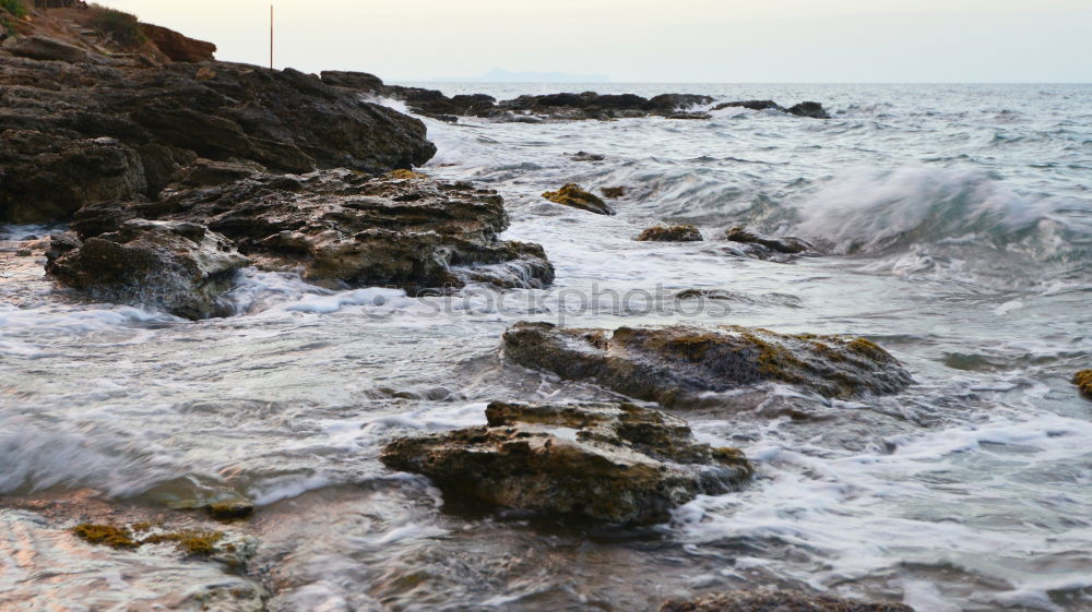 The surf Nature Landscape