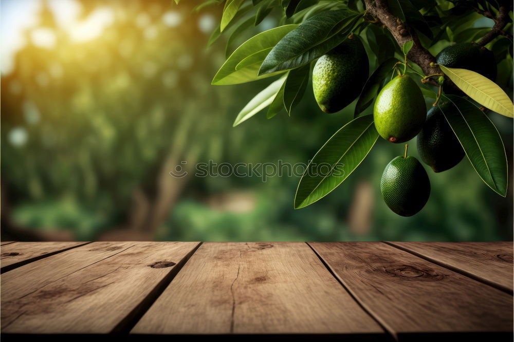 Similar – Ripe elderberries on a rustic wooden table