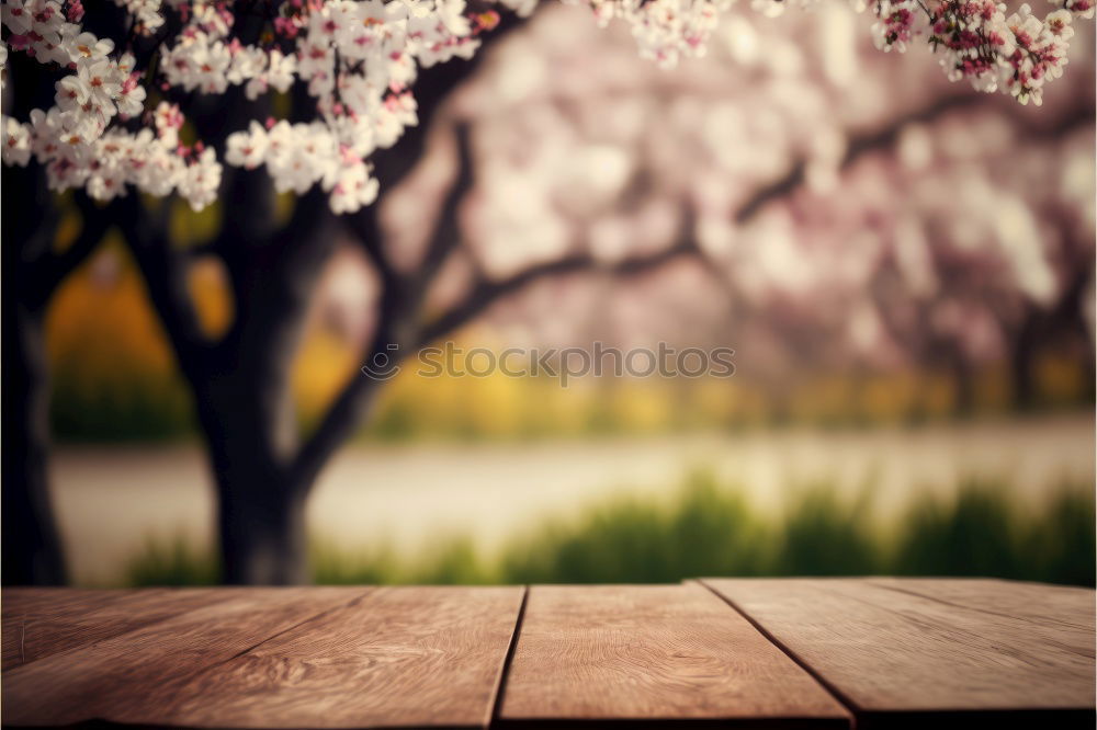 Image, Stock Photo _ Environment Nature Plant