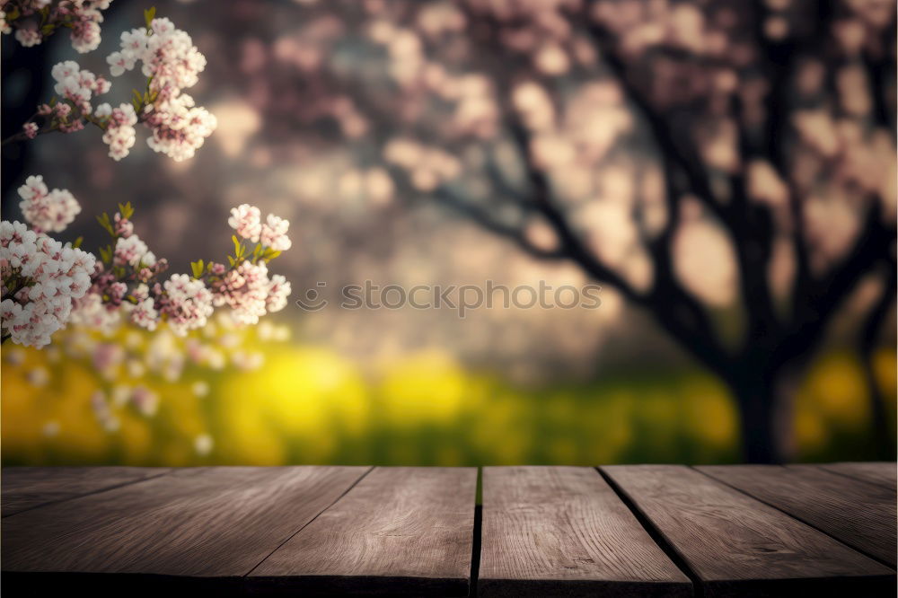 Similar – Frühling Mädchen Blüten Wiese Bäume