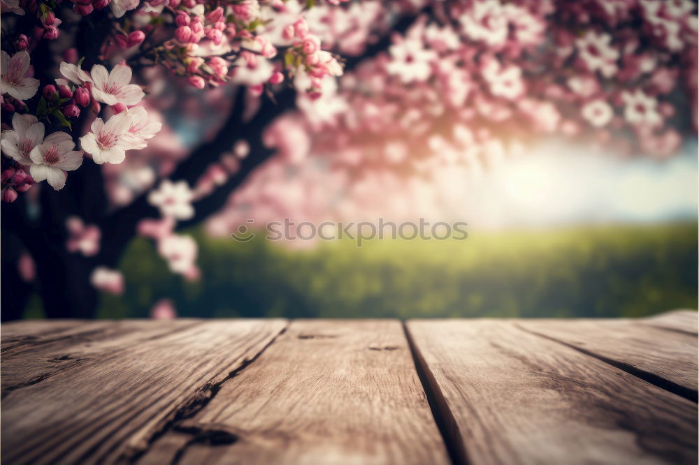 Similar – Image, Stock Photo spring motif Nature Plant