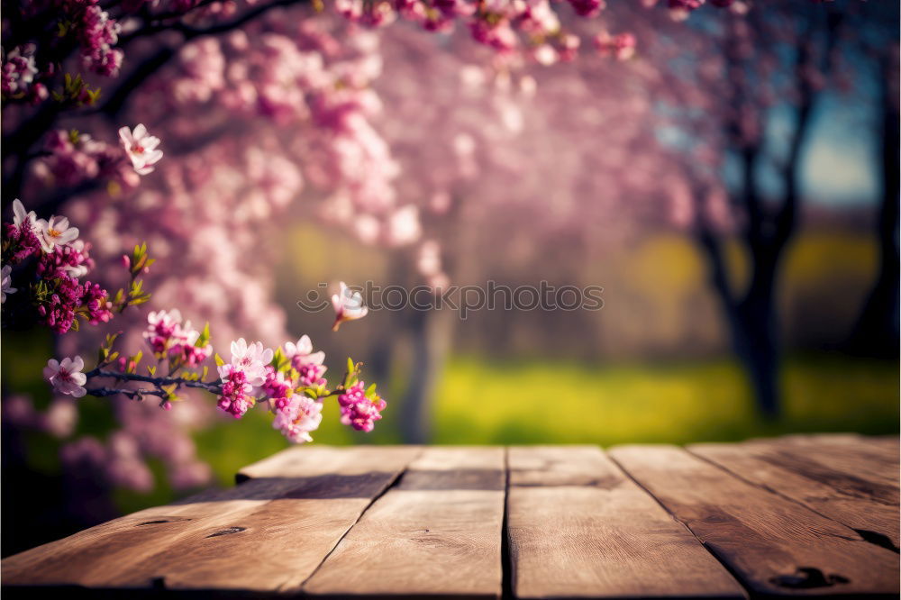 Similar – Image, Stock Photo pink dream Plant Spring