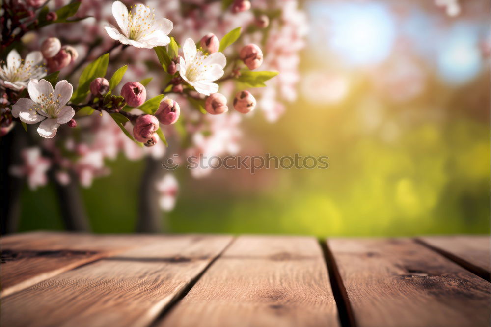 Similar – Image, Stock Photo Spring meadow III