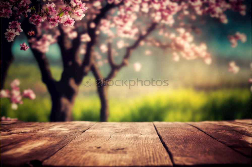 Similar – Frühling Mädchen Blüten Wiese Bäume