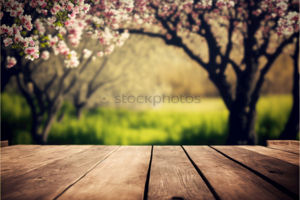 Similar – Frühling Mädchen Blüten Wiese Bäume