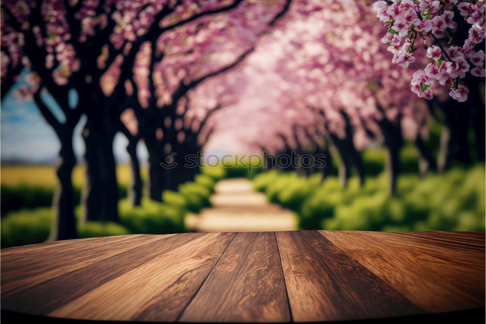 Similar – Image, Stock Photo in love with the peaches iii