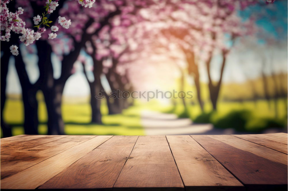 Similar – Image, Stock Photo in love with the peaches iii