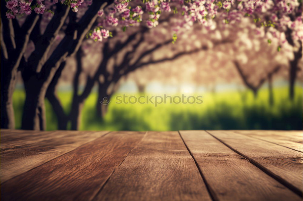 Similar – Image, Stock Photo ParkBank Park bench