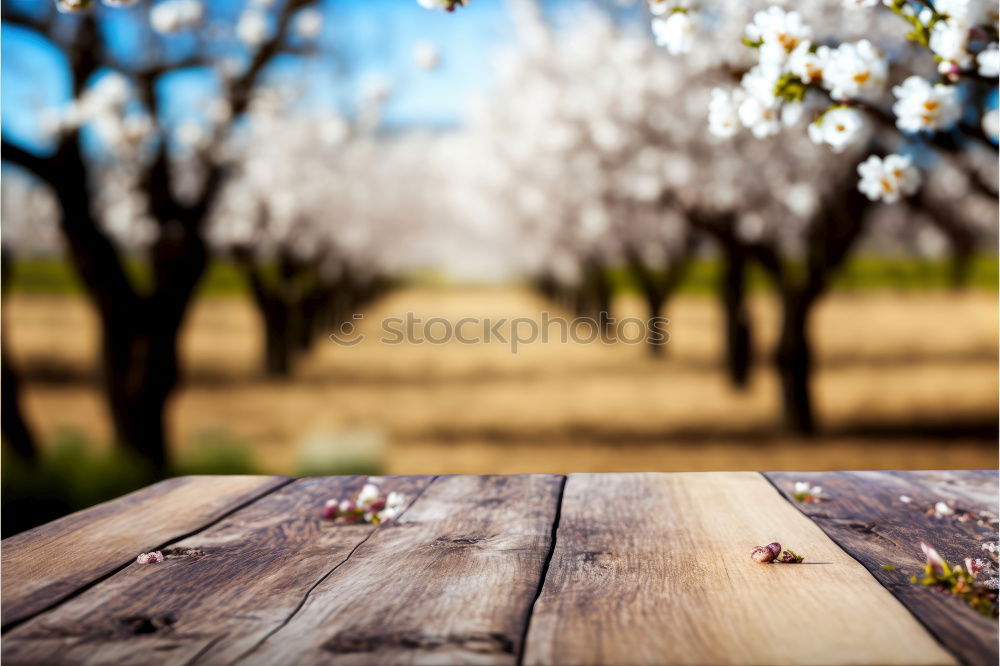 Similar – Apples Frucht Apfel Umwelt