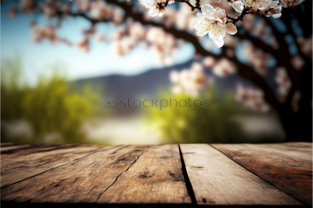 Similar – Image, Stock Photo blood red Environment