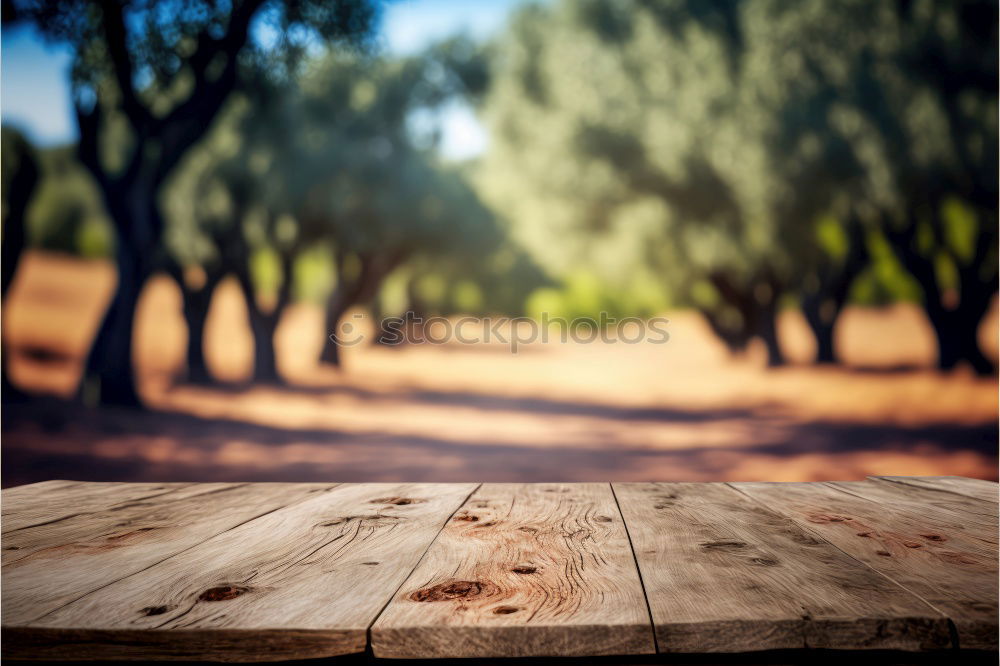 Similar – Wine plantation of a monastery at the Mediterranean Sea