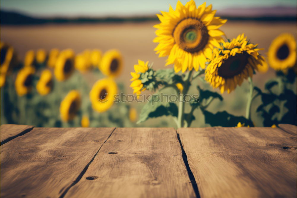 Similar – Image, Stock Photo Field of Dreams. Nature