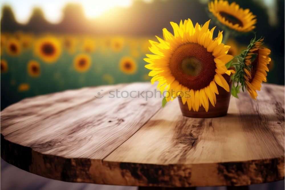 Similar – Feet in front of an analog camera and autumn leaves