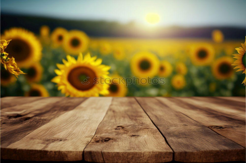 Similar – Image, Stock Photo Field of Dreams. Nature