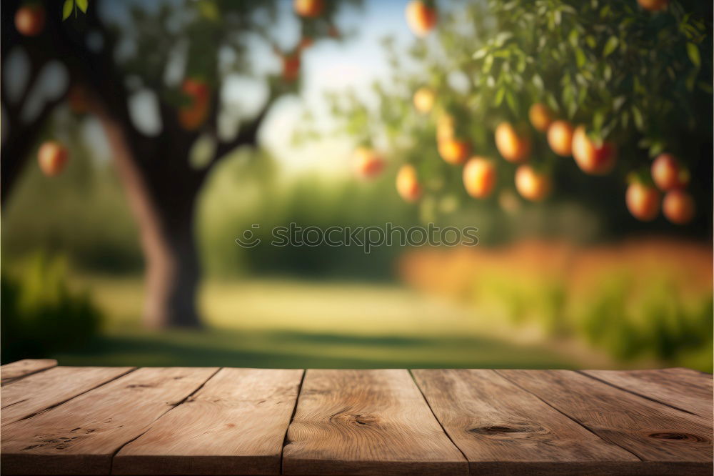 Similar – Image, Stock Photo Orange Garden VIII Art