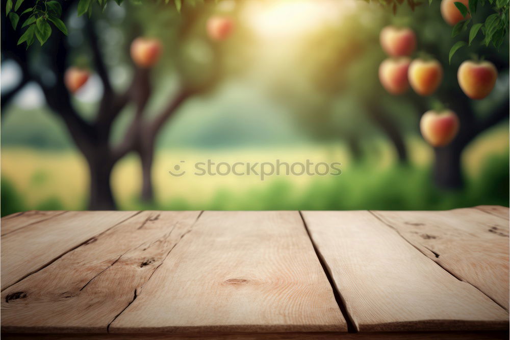 Similar – Image, Stock Photo rose hips Food