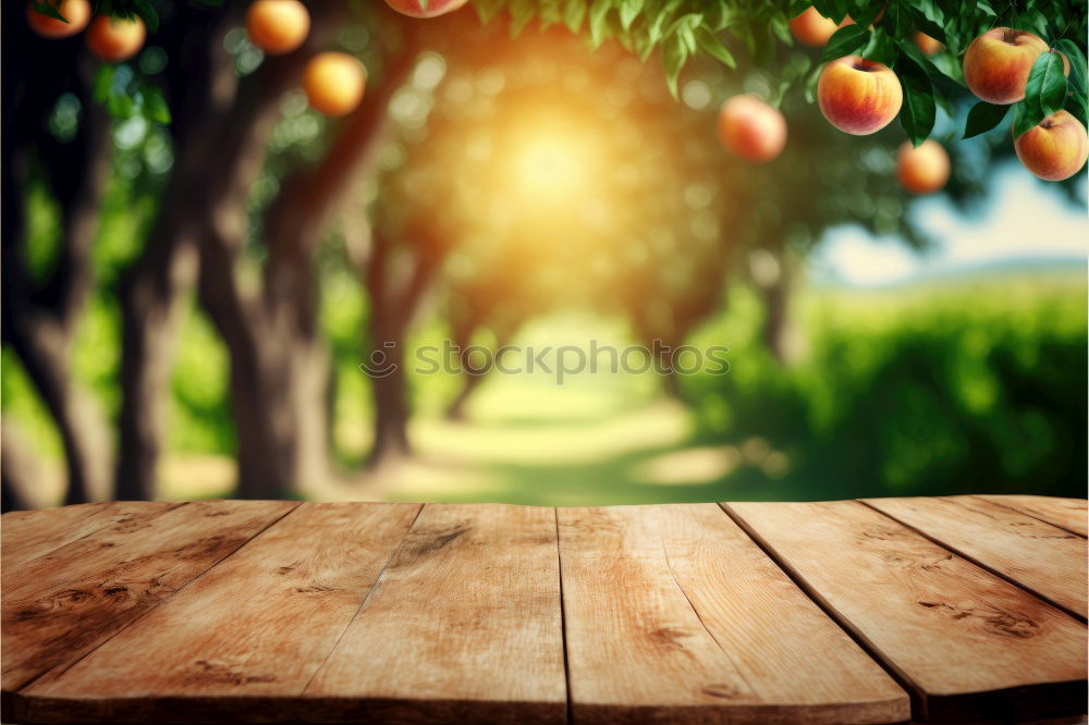 Similar – Image, Stock Photo wasp trap Food Fruit