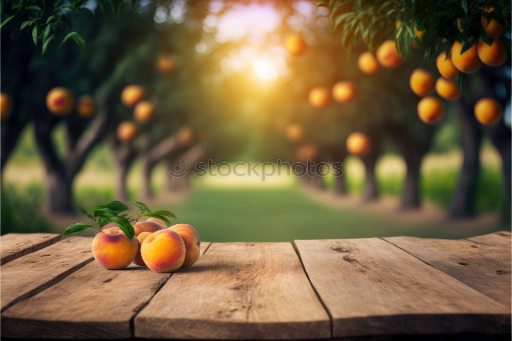 Similar – Image, Stock Photo wasp trap Food Fruit