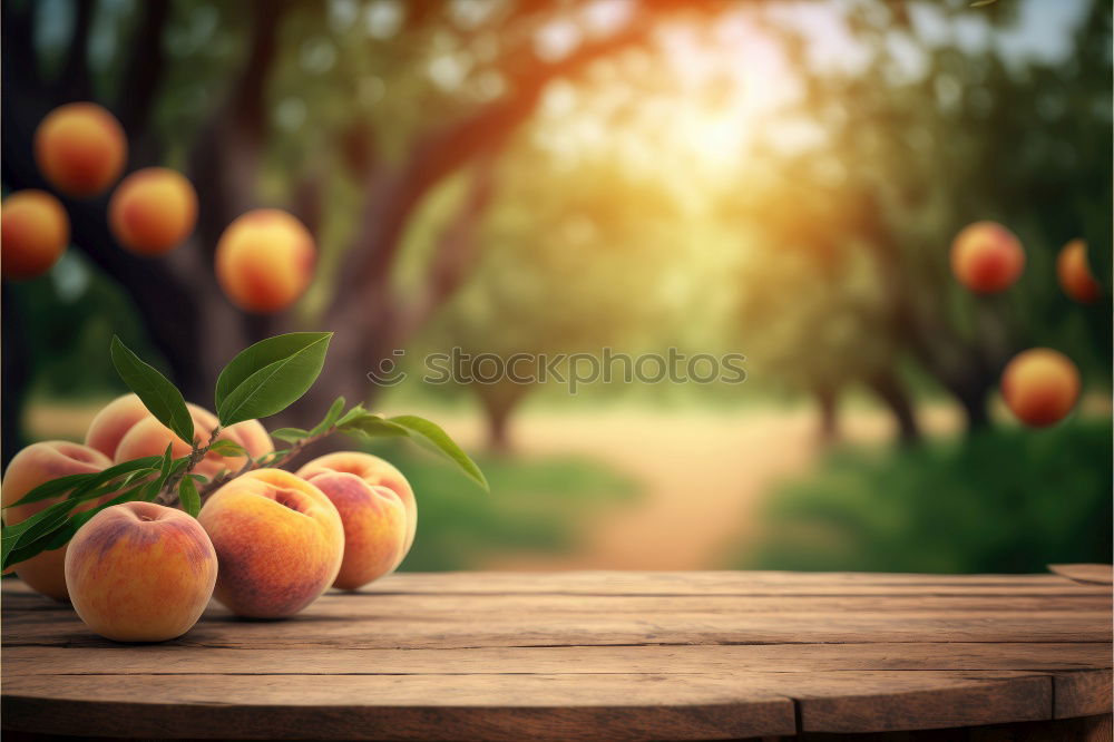 FRUITS Nature Delicious