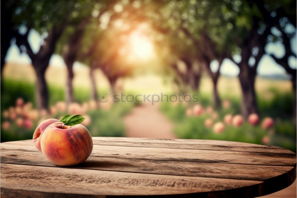 Similar – Flatlay of woman’s hands holding red ripe organic apples