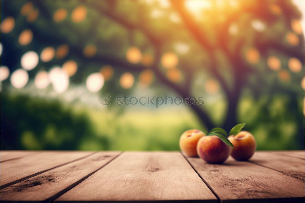 Similar – Flatlay of woman’s hands holding red ripe organic apples