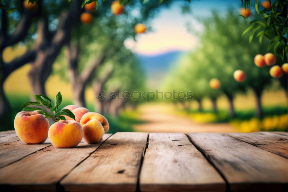 Similar – Image, Stock Photo wasp trap Food Fruit