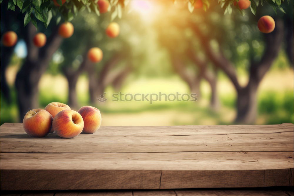 Similar – Apple harvest in the garden