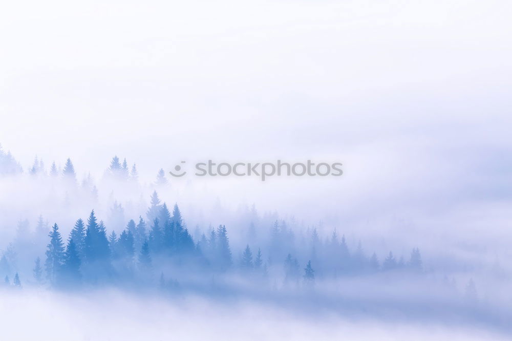 Similar – Image, Stock Photo above the clouds