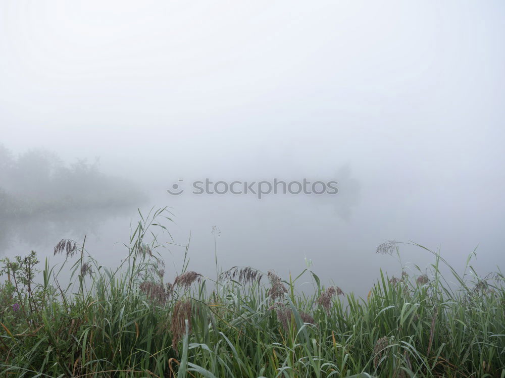 Similar – rest Nature Landscape