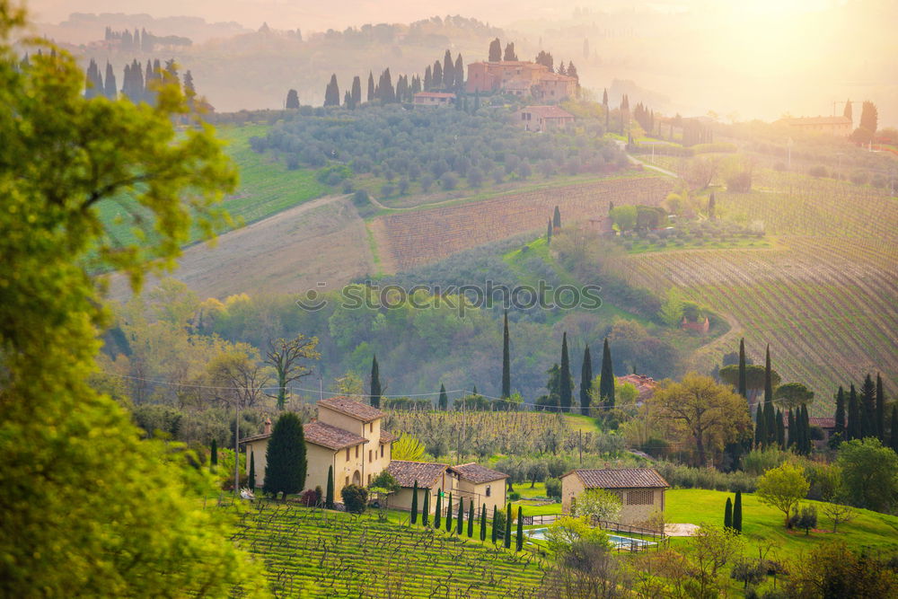 Similar – Image, Stock Photo Falcon Crest